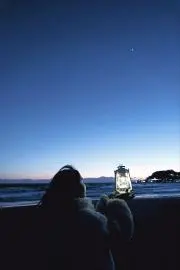 くまむしの画像