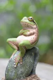 発送は36時間以内