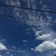 まよねの画像