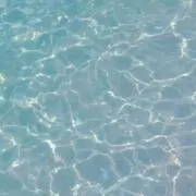 パムの画像