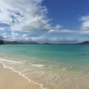 メイコピの画像