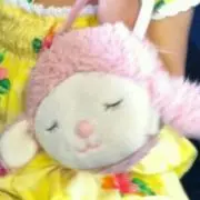 どさんこの画像