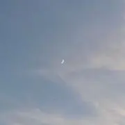 ぱんの画像