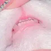 ゆか※バラ売り不可の画像