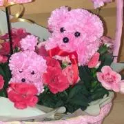 にゃんた♥プロフ必見！！