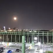 momoの画像