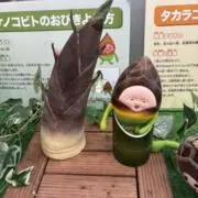 ごっちの画像
