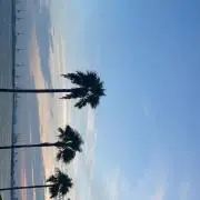 ゴンゾウ