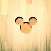 はごさし