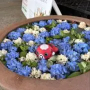 くにの画像