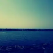 ニャンコ先生
