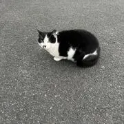 あきの画像