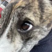 GoodLifeの画像