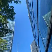 yuの画像