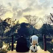 おもちの画像