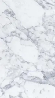 Sumpfunfの画像