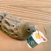 くるっぽの画像