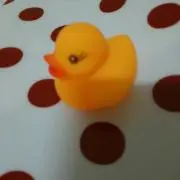 サラダ109の画像