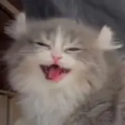 m mの画像