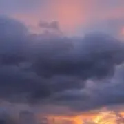 コハク　プロフ必読の画像