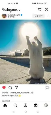 のるうぇーじゃん