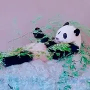 かず