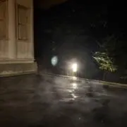 フクフクの画像