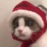 sami⭐️同梱でお得♪