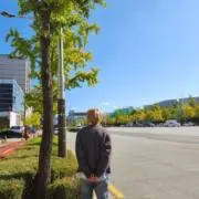 Mの画像