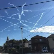 ブル