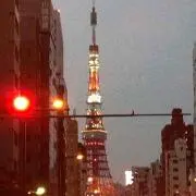 ★みかん★の画像