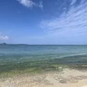きなこもちの画像