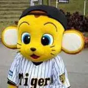Taichi