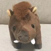 うりぼーの画像