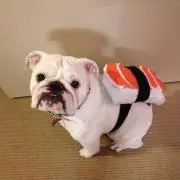 かおり