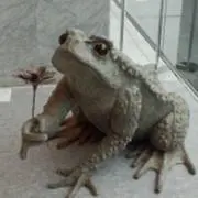 ア