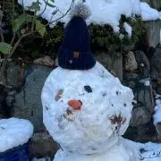 うさの画像