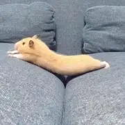 ちゅうた