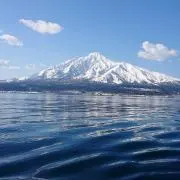 D9Sの画像
