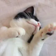 ８wareの画像