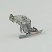 キャッサバディバスの画像