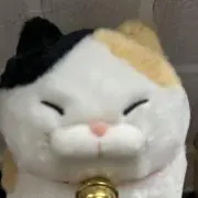 ⭐︎さまさま⭐︎の画像