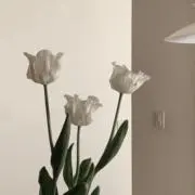 ⭐︎ (プロフ必読)の画像