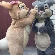 さばかんの画像