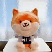 やな木⌘即購入◎値下げ×の画像