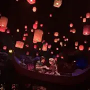 さかなの画像