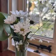 リアナの画像