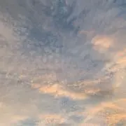 れもん