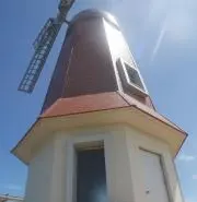 Aririの画像