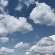 アキの画像